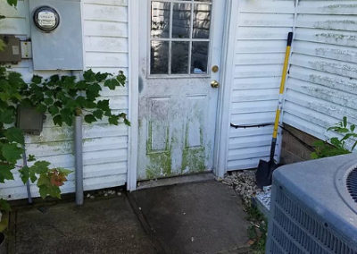Vinyl Siding Before Cleaning